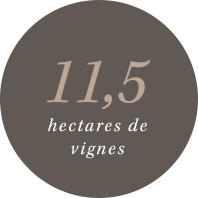 Domaine Charton, Viticulteurs à Mercurey - 11,5 hectares de vignes