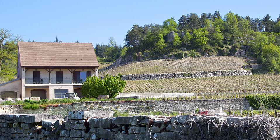 Domaine Charton, Winegrowers at Mercurey - Cellar & tasting