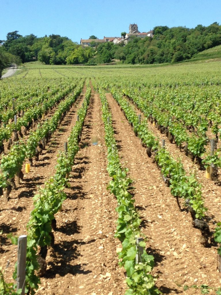 Domaine Charton, Winegrowers at Mercurey - 